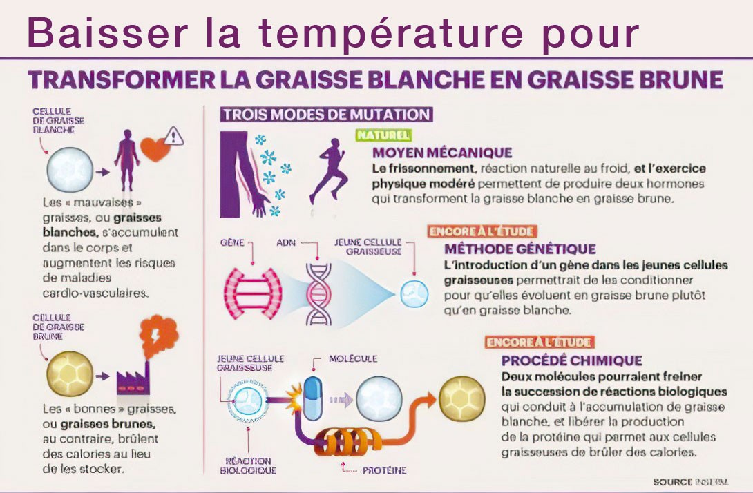 Economies d energie 7