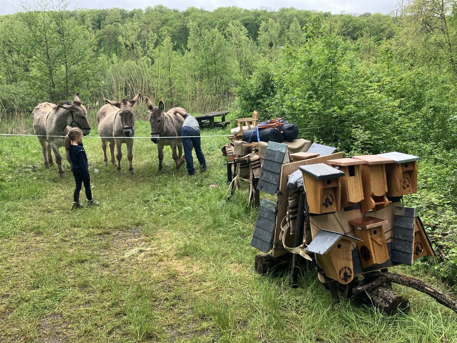Marche nature du 05 mai