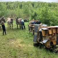 Marche nature du 05 mai