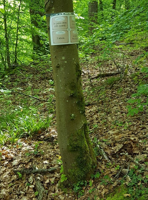 Marche nature du 05 mai