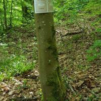 Marche nature du 05 mai