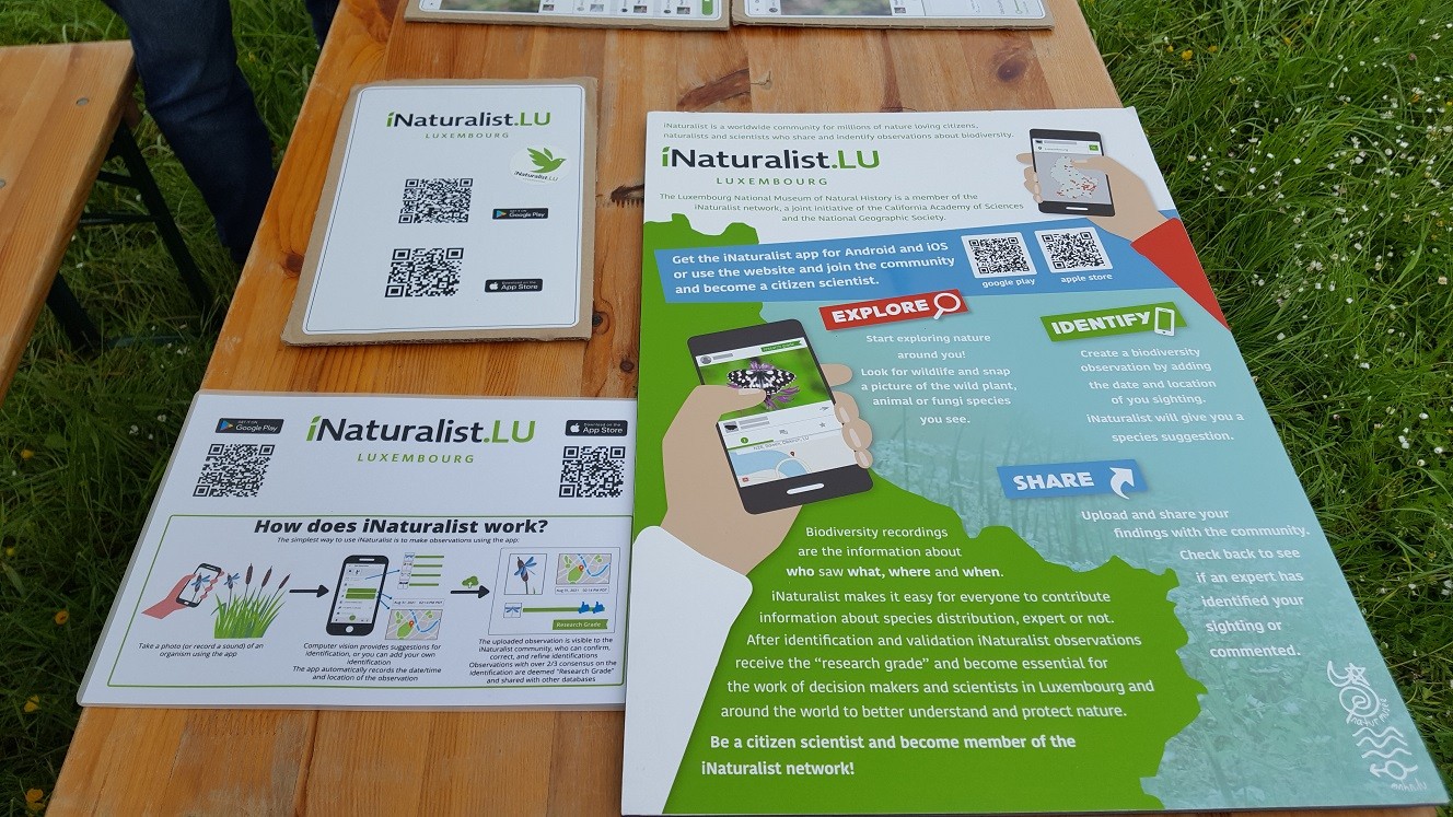 Marche nature du 05 mai