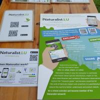 Marche nature du 05 mai