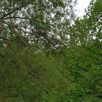 Marche nature du 05 mai