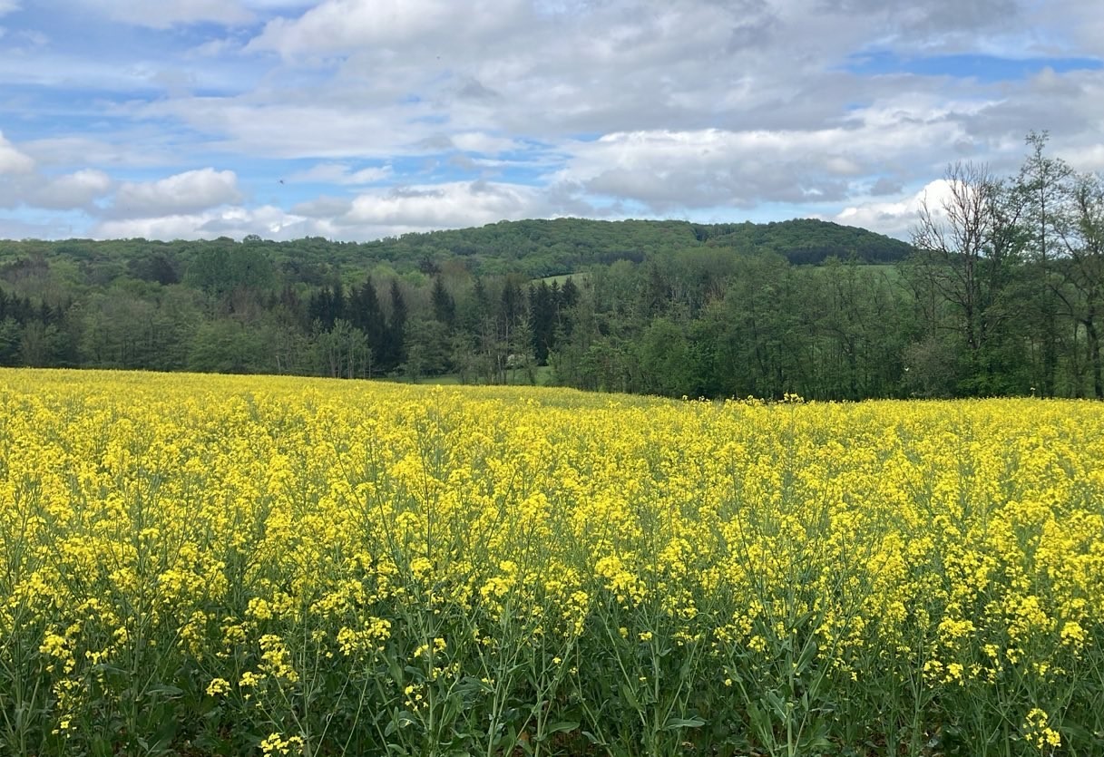 Marche nature du 05 mai