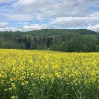 Marche nature du 05 mai