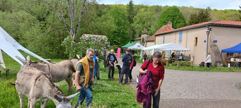 Marche nature du 05 mai