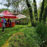 Marche nature du 05 mai