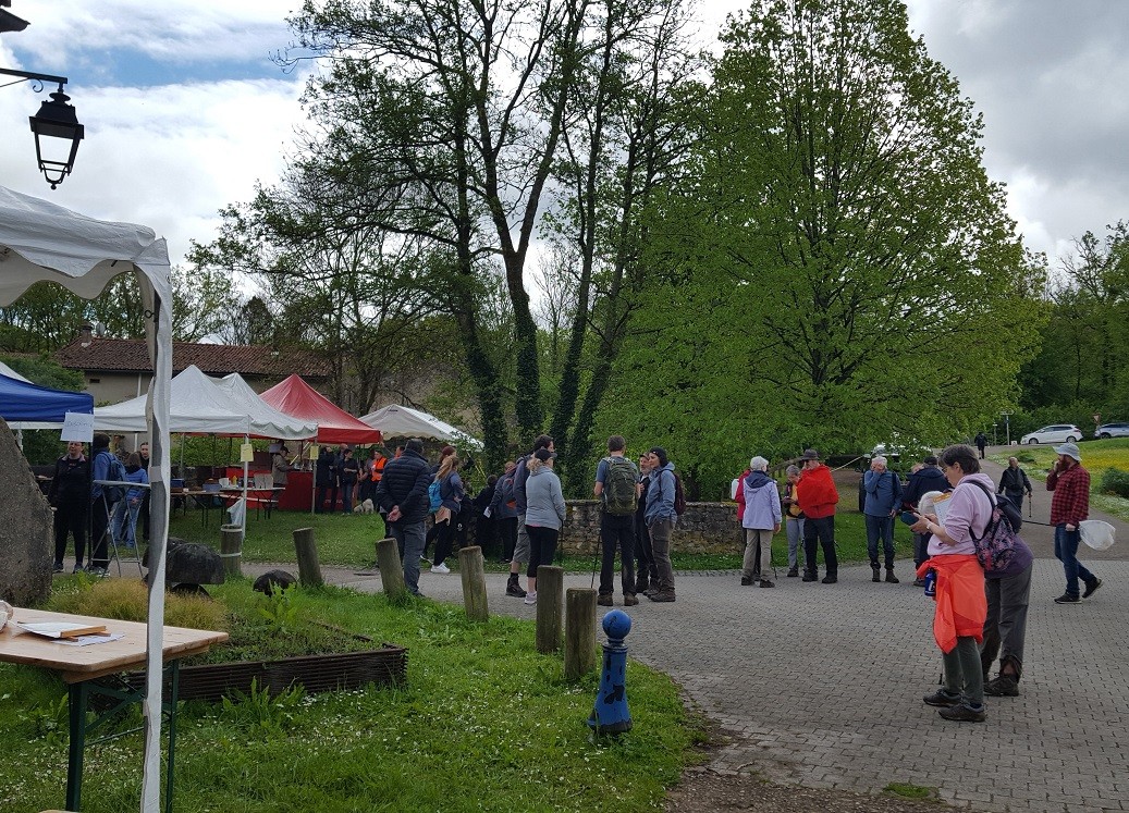Marche nature du 05 mai