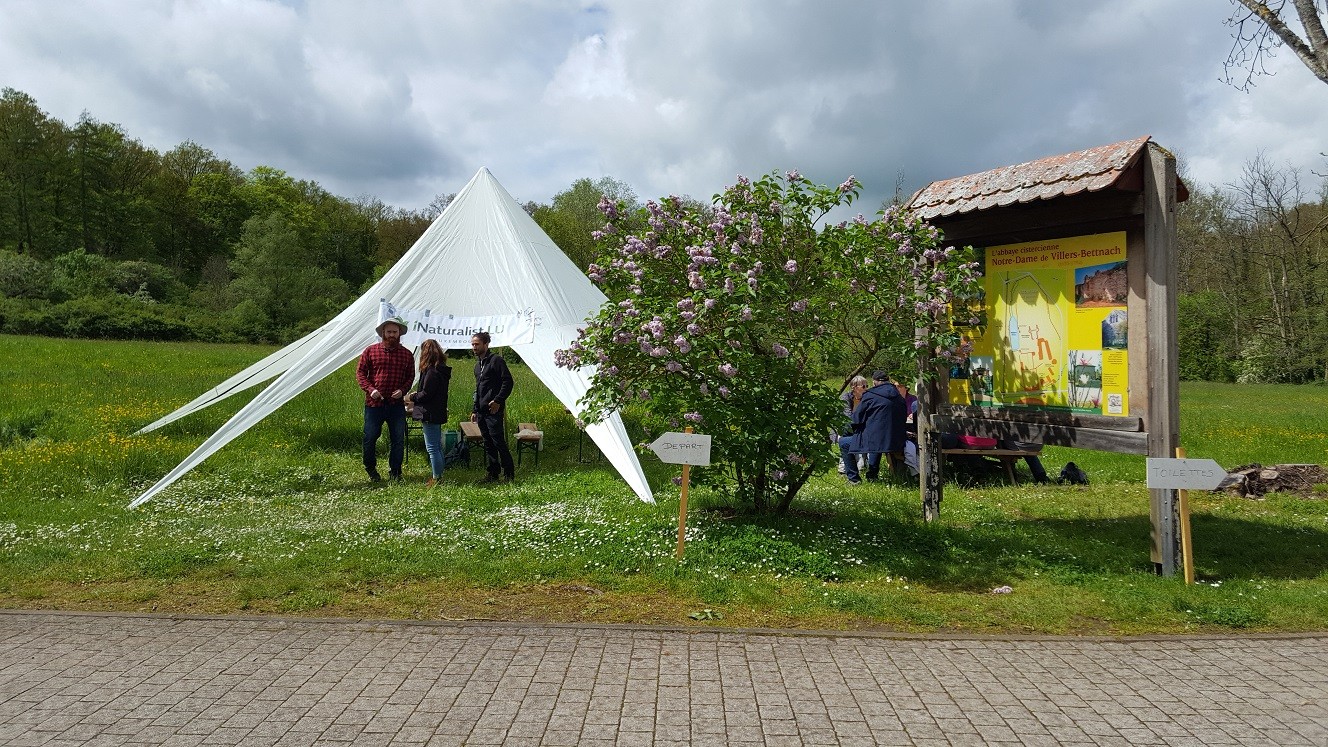 Marche nature du 05 mai