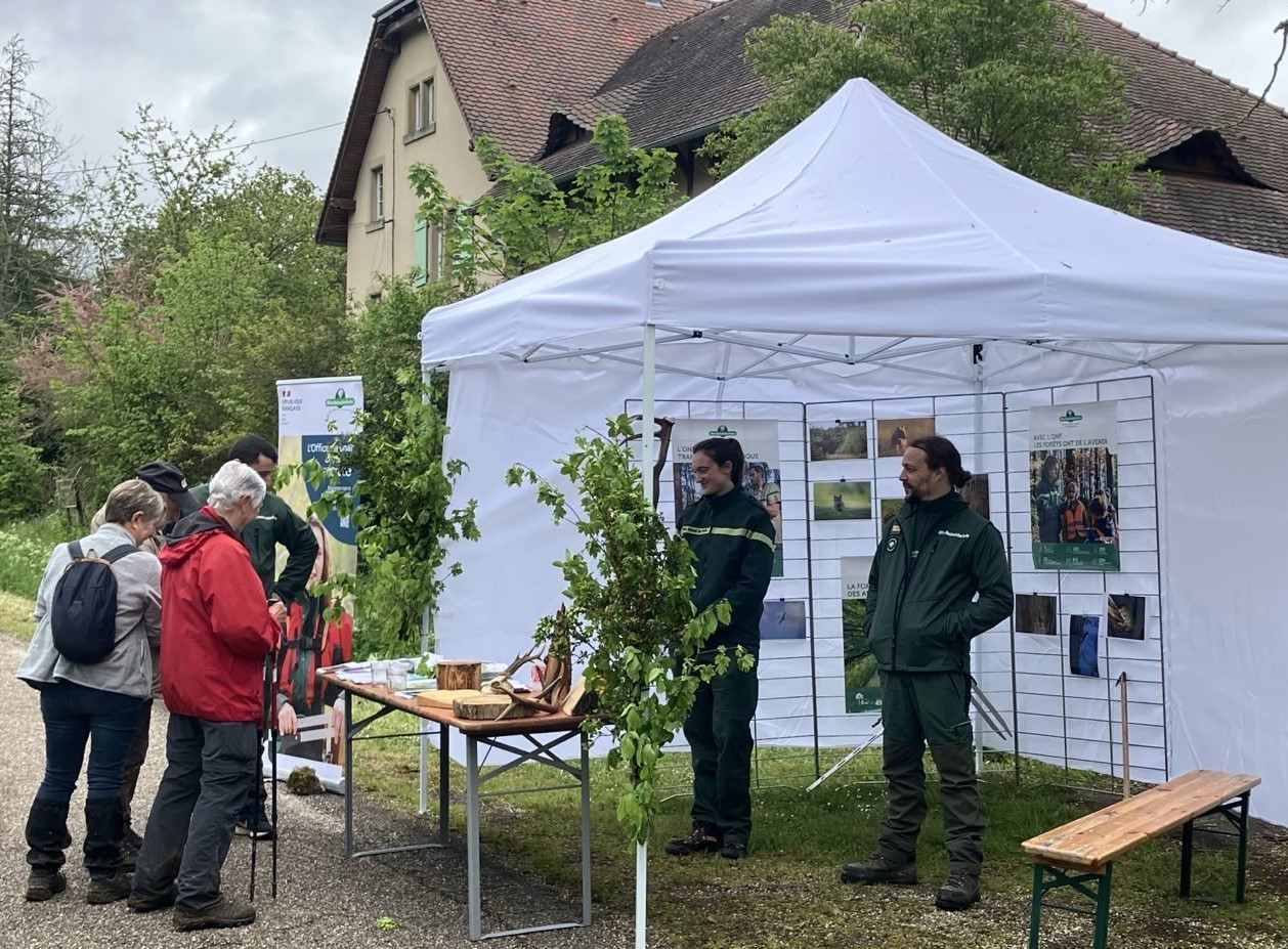 Marche nature du 05 mai