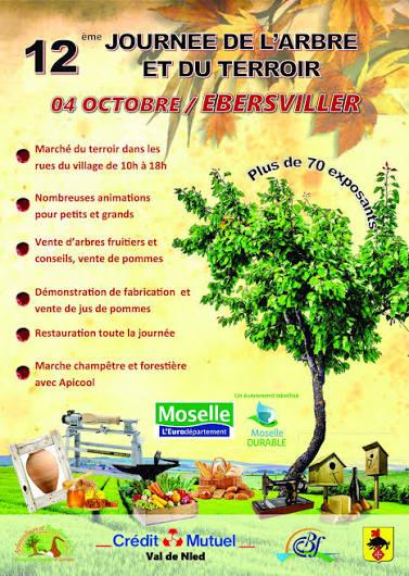 04 oct fete arbre