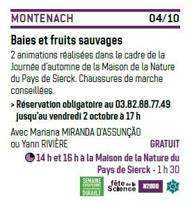 04 oct montenach baies sauvages cenl