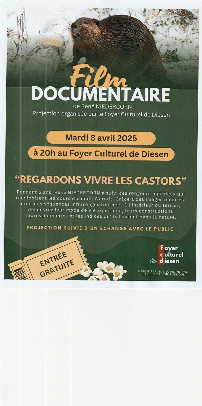 08 avril film castors diesen