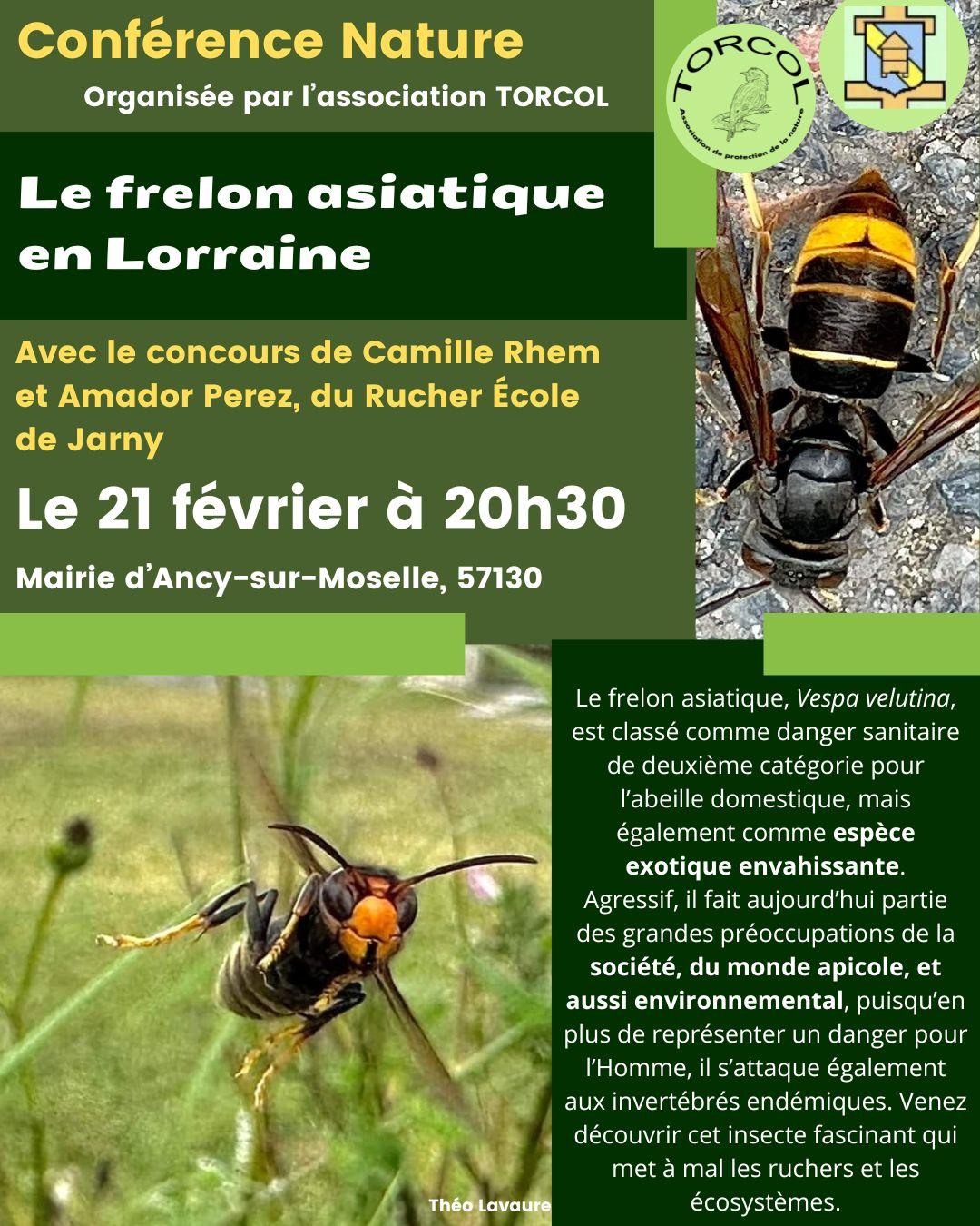21 02 conference frelon torcol 1