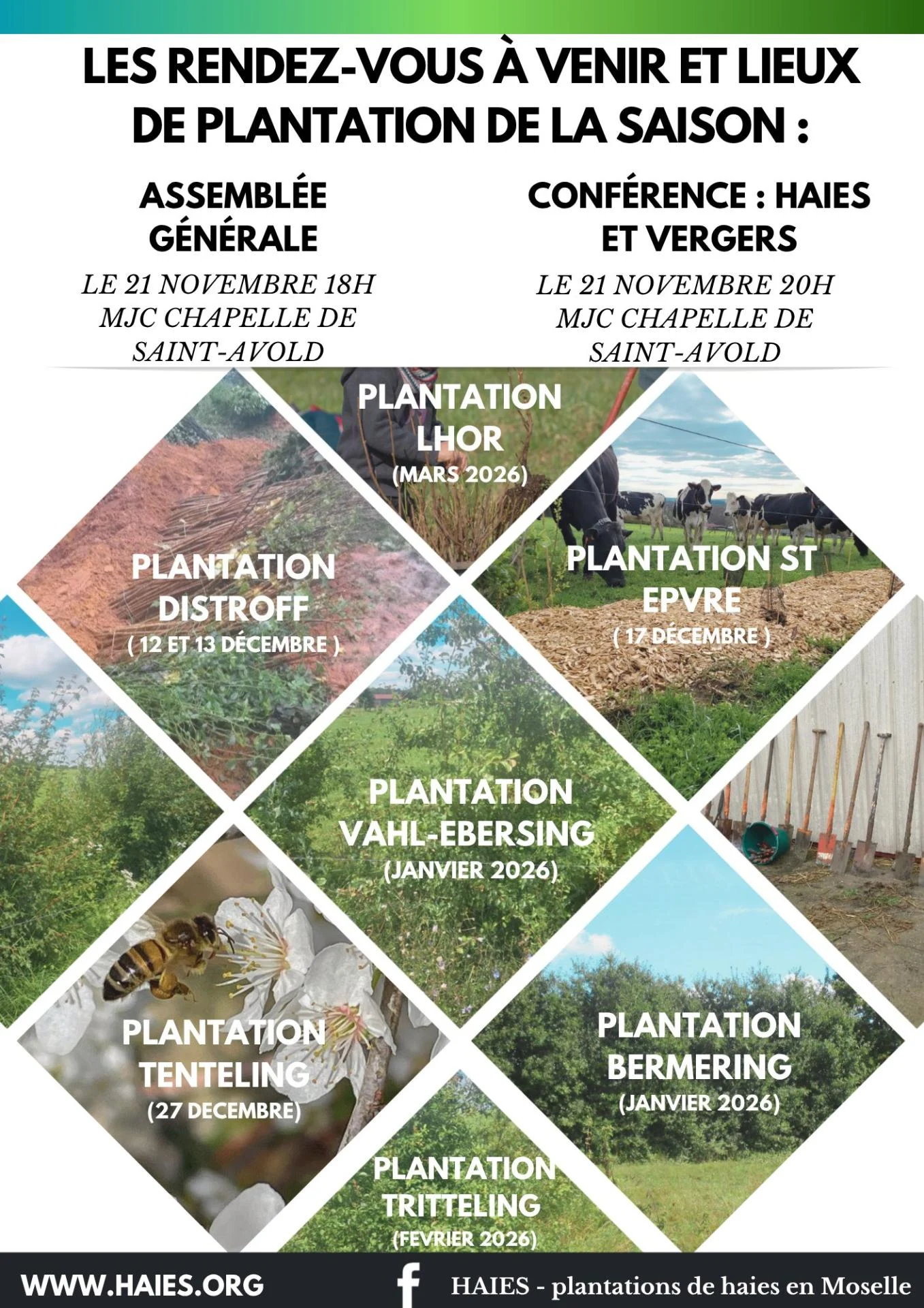 21 nov haies ag et conference