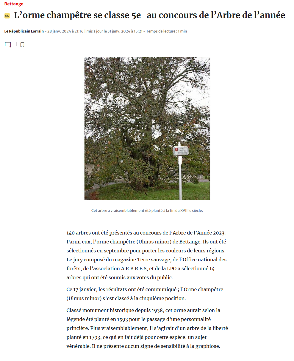 24 01 31 article rl orme bettange