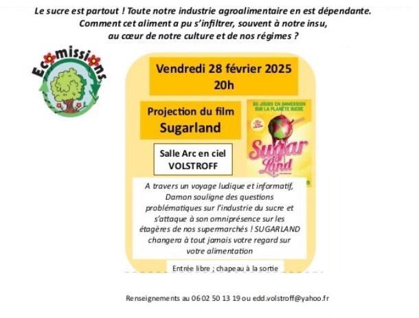 28 02 projection film ecomissions