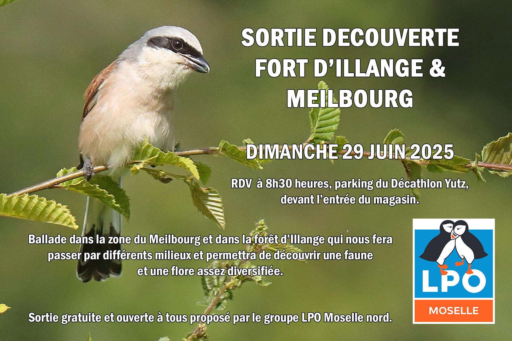 29 juin sortie lpo illange
