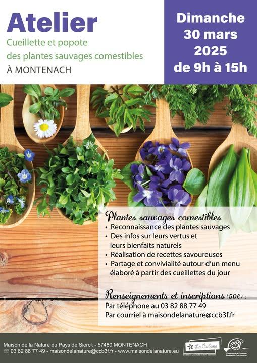 30 mars cueillette maison nature