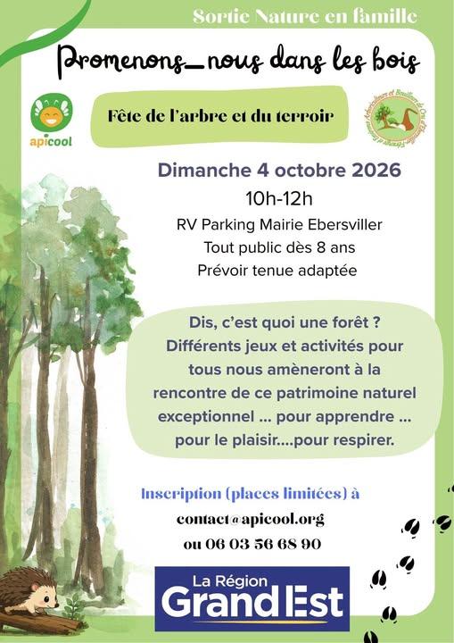 4 oct apicool balade decouverte foret ebersviller