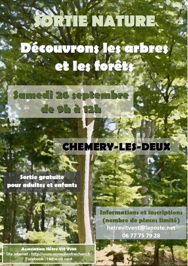 Affiche sortie arbres