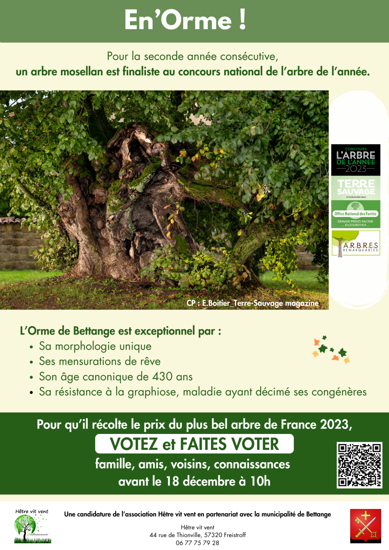 Affiche votes orme moselle