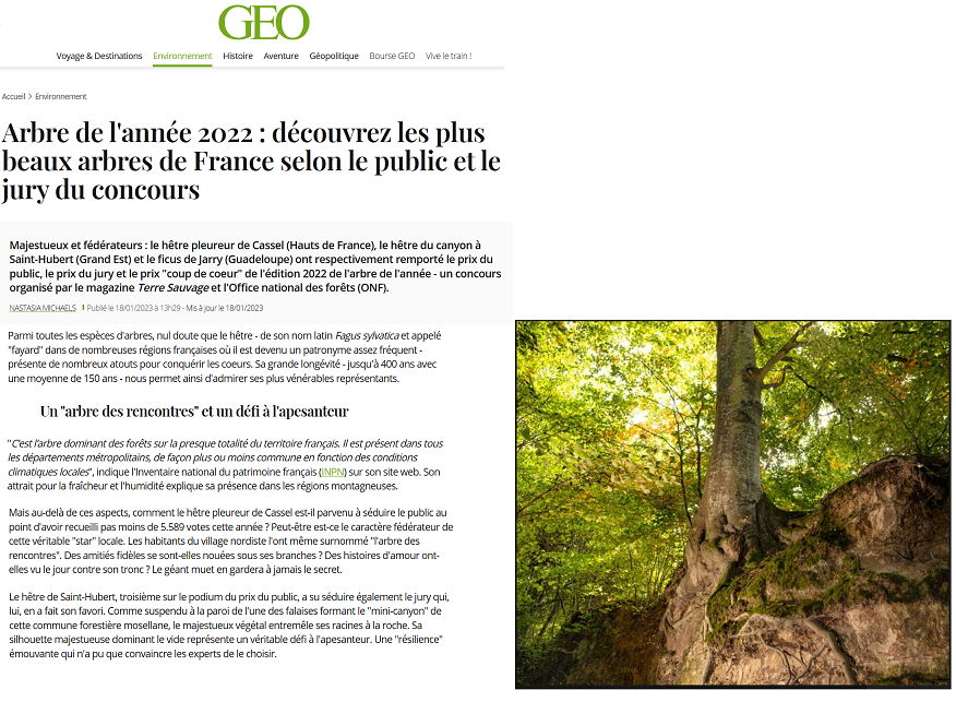 Article geo janvier 2024