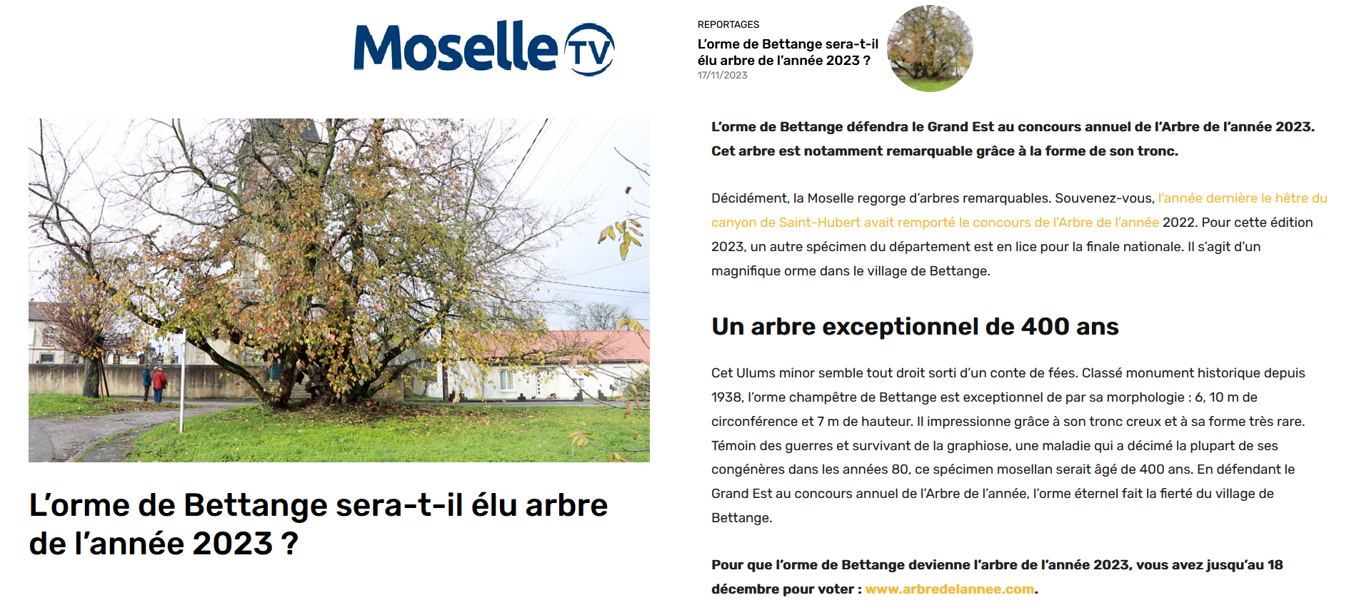 Article moselle tv