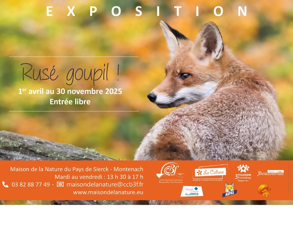 Avril a novembre expo renard