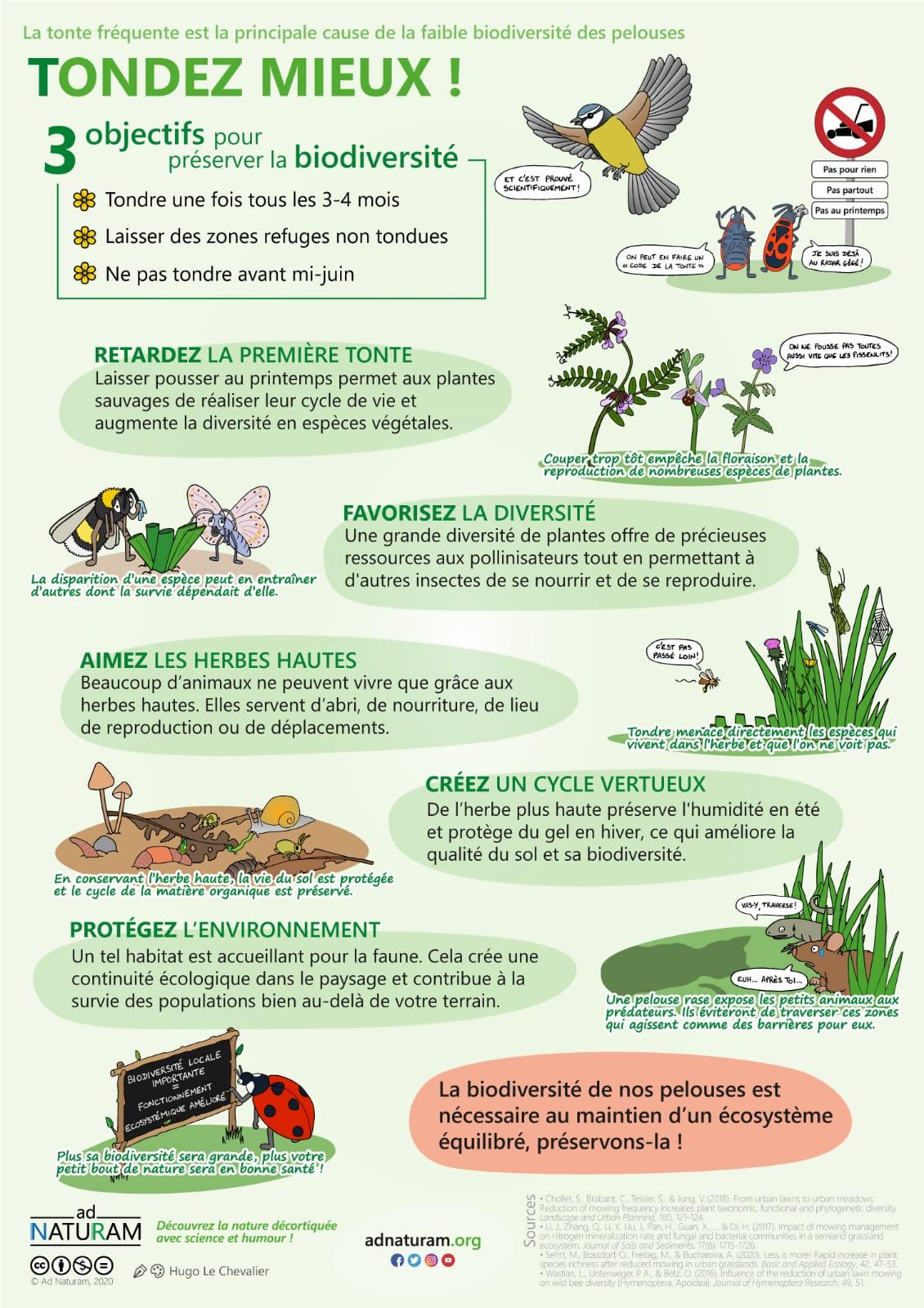 Biodiversite des pelouses