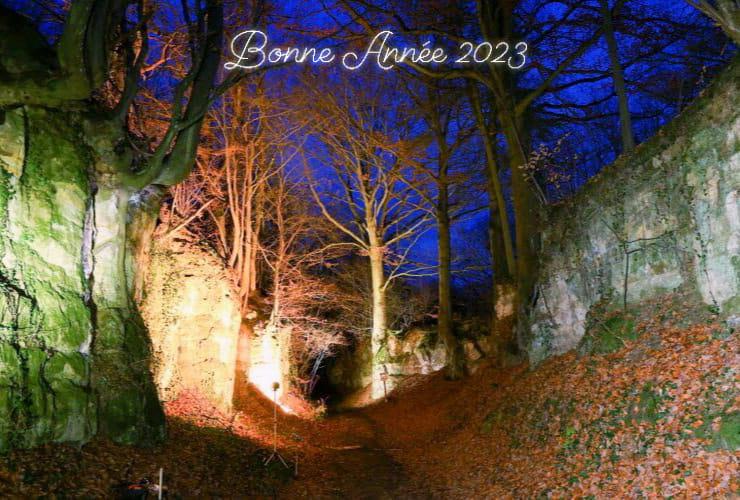 Bonne annee 2023 sur hetre canyon