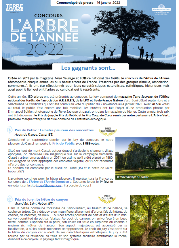 Communique presse arbre annee rogne