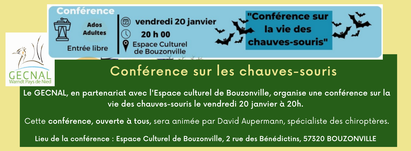 Conference chauves souris