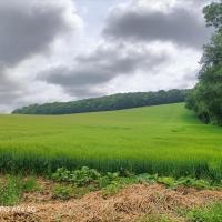 Paysage mosellan - Photo : Mme Leblanc