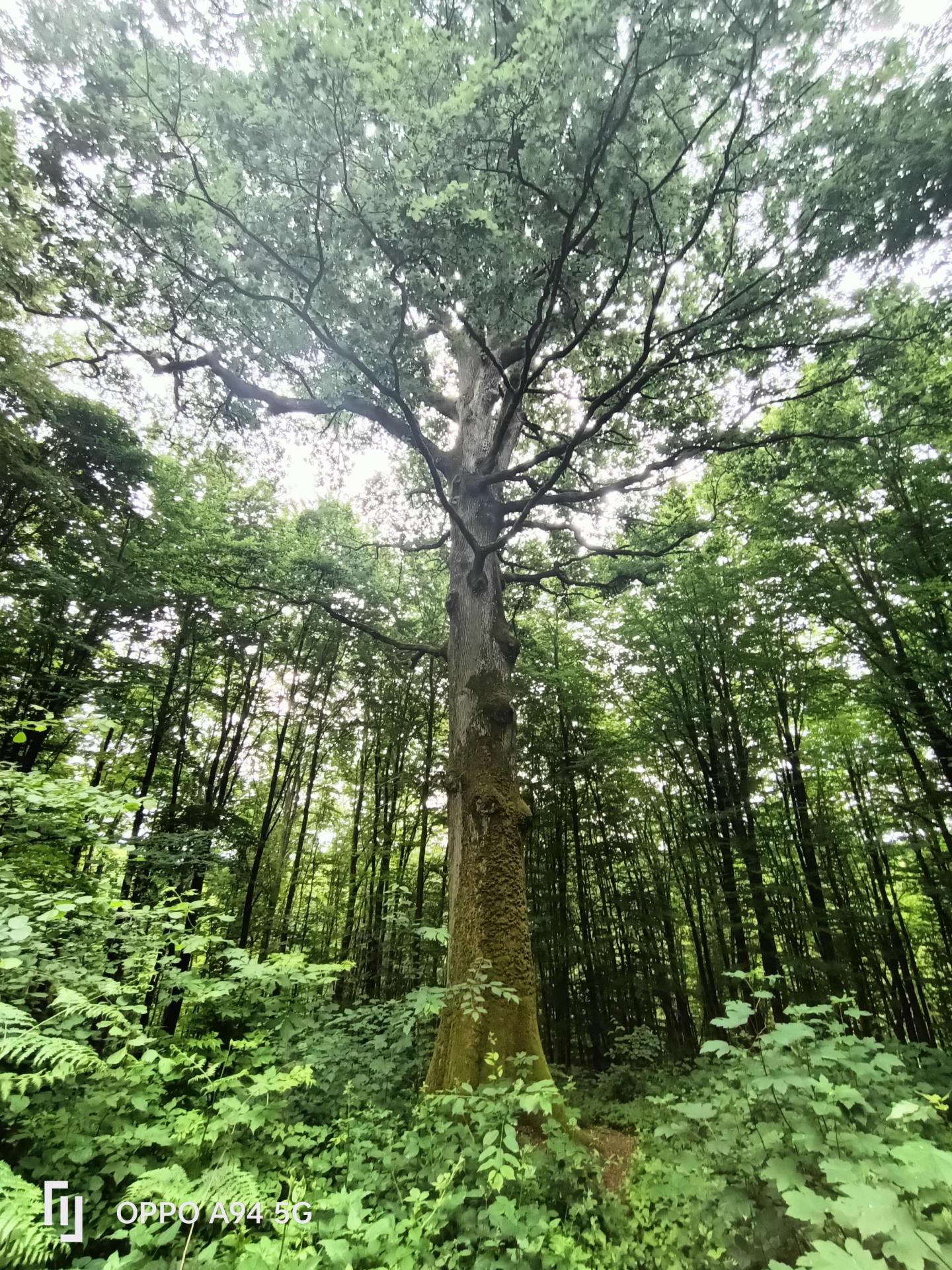 1er prix du concours photo - Mme Leblanc