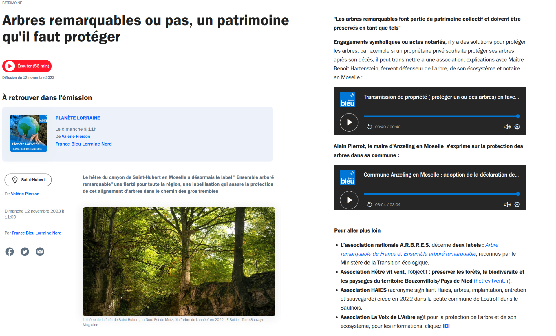 France bleu planete nature 12 novembre 2023 protection des arbres