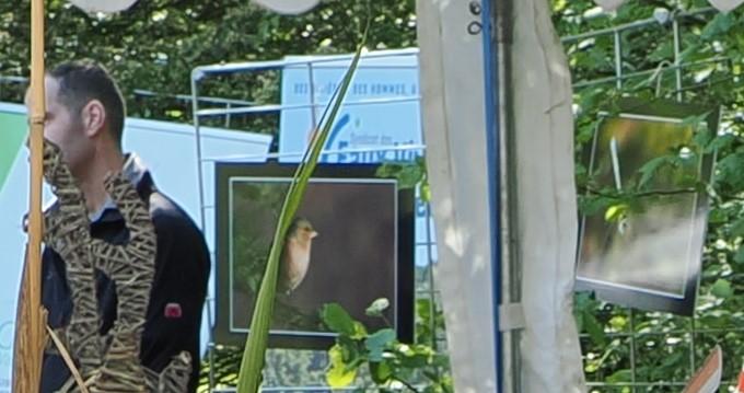 GECNAL - David, Hinatéa et Julian et leur stand sur la biodiversité