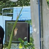 GECNAL - David, Hinatéa et Julian et leur stand sur la biodiversité