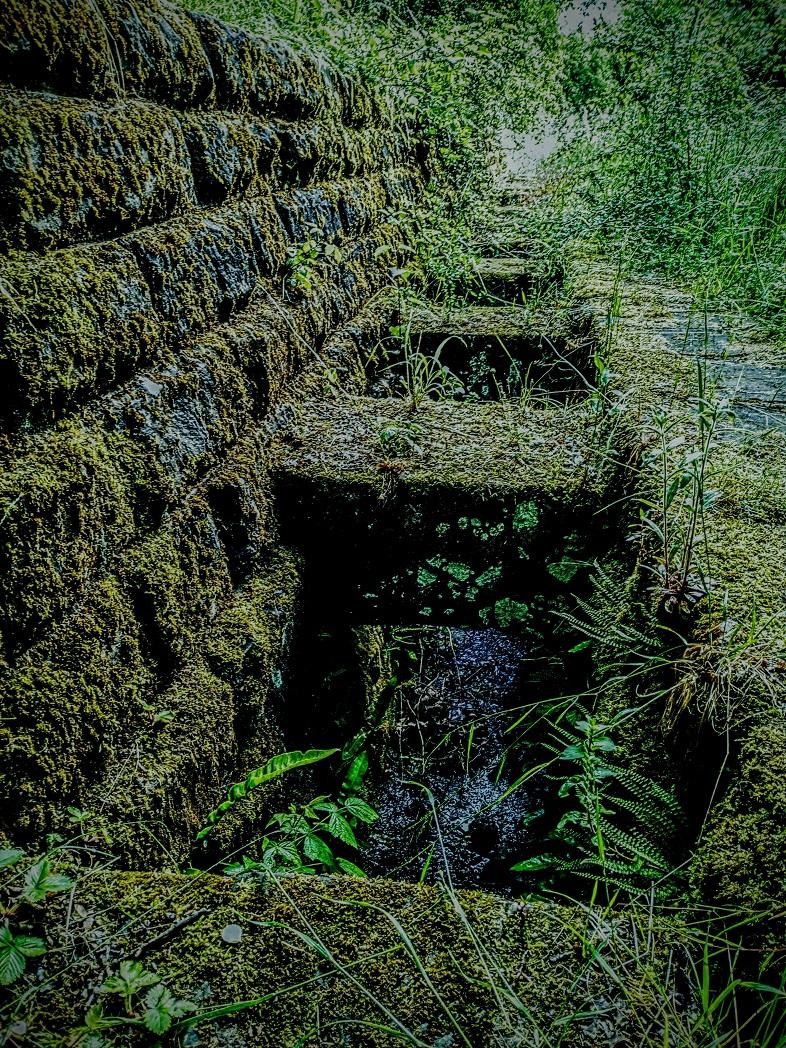 L'ancienne ligne de chemin de fer Metz-Anzeling - Photo : M. Lopes