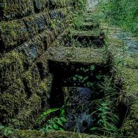 L'ancienne ligne de chemin de fer Metz-Anzeling - Photo : M. Lopes