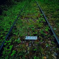 2ème prix du concours photo - M. Lopes