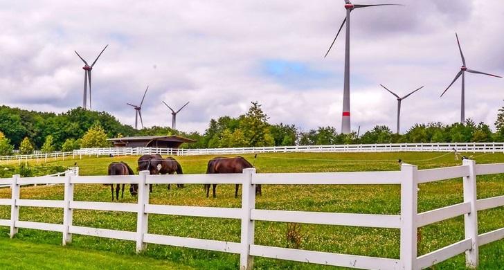 Image chevaux et eoliennes