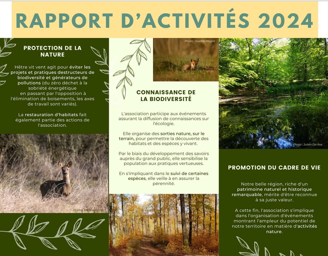Image rapport d activites