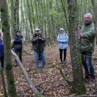 Atelier adultes