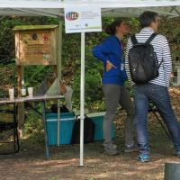 LIEC - Laëtitia, Sophie, Anatole et Christophe et leur stand sur les amphibiens et vertébrés d'eau douce