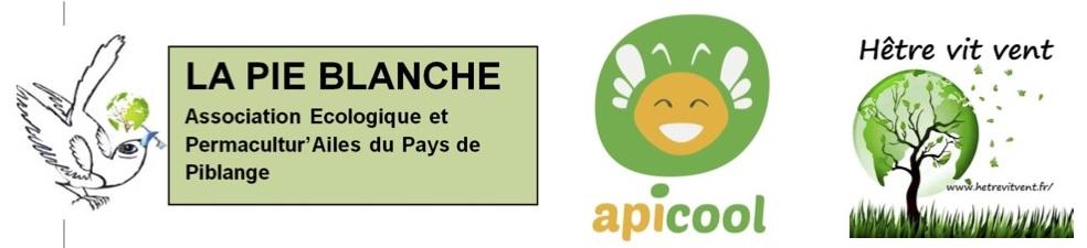 Logo apicool la pie blanche hvv