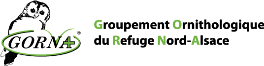 Logo gorna
