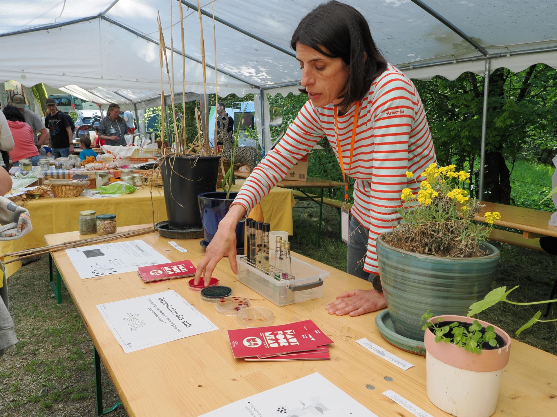 LSE - Sonia et son stand sur les plantes dépolluantes