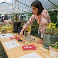 LSE - Sonia et son stand sur les plantes dépolluantes